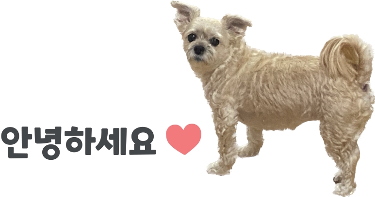 오데가든 이미지
