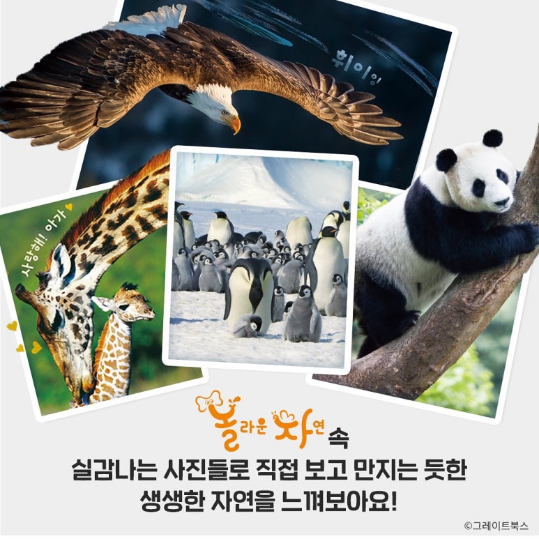 실감북스 이미지