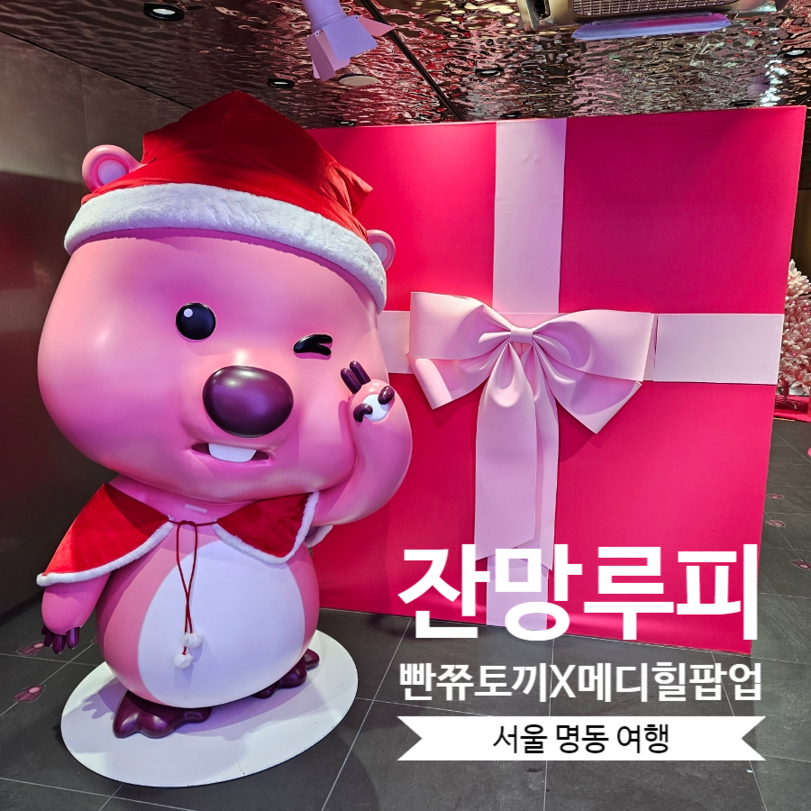 빤쮸하우스 이미지