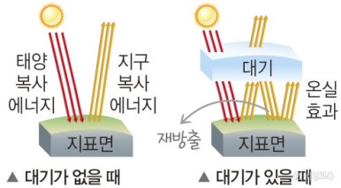 온실이야기 이미지