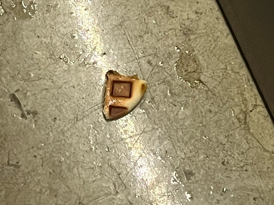 지니어스무브 이미지