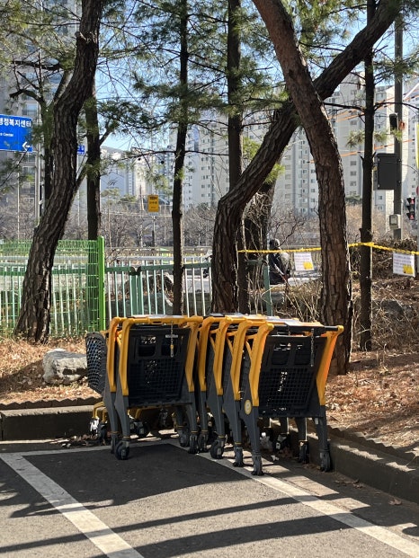 모드니카센타 이미지
