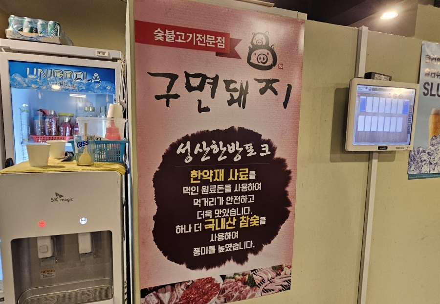 구면돼지 이미지