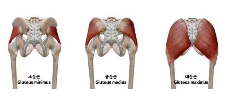 해피짐 이미지