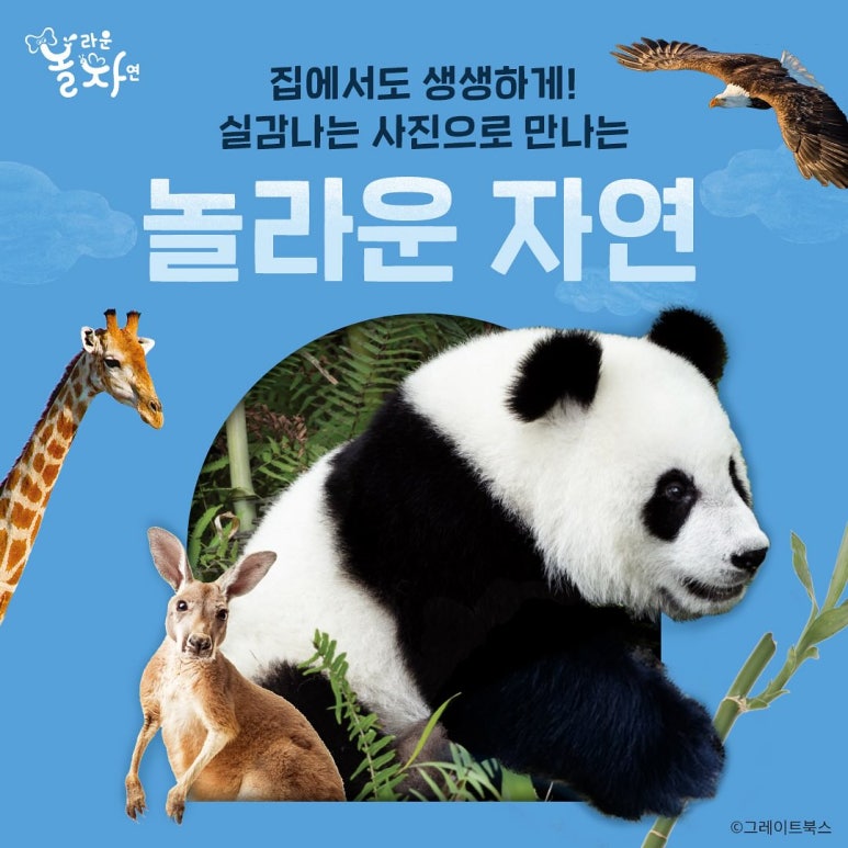 실감북스 이미지