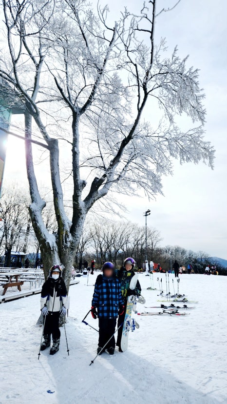 비발디파크렌탈샵에스앤에스 이미지