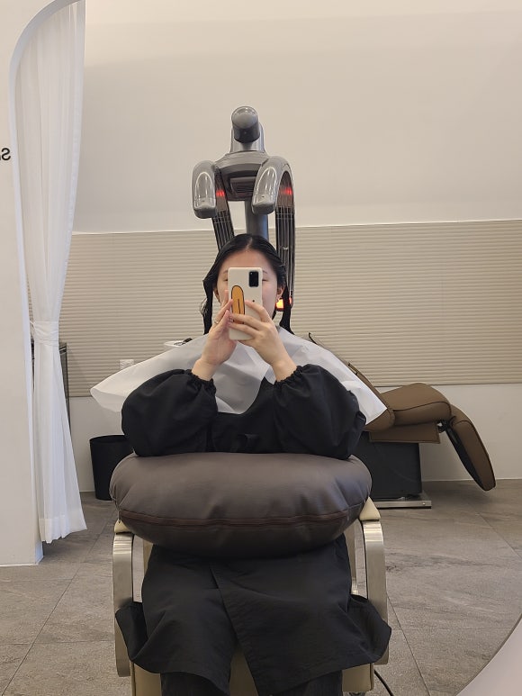 펠로살롱 이미지