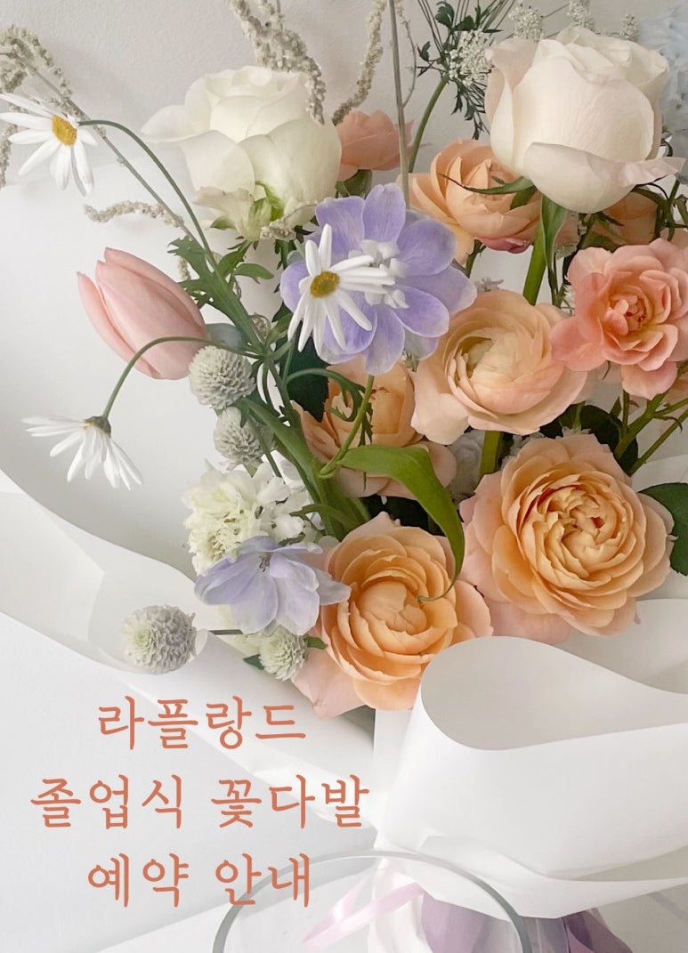 라플랑드 이미지