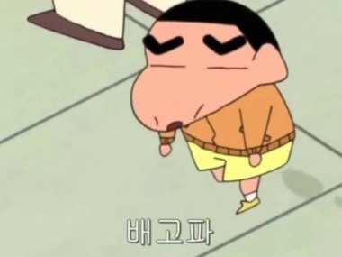 일일양충북 이미지