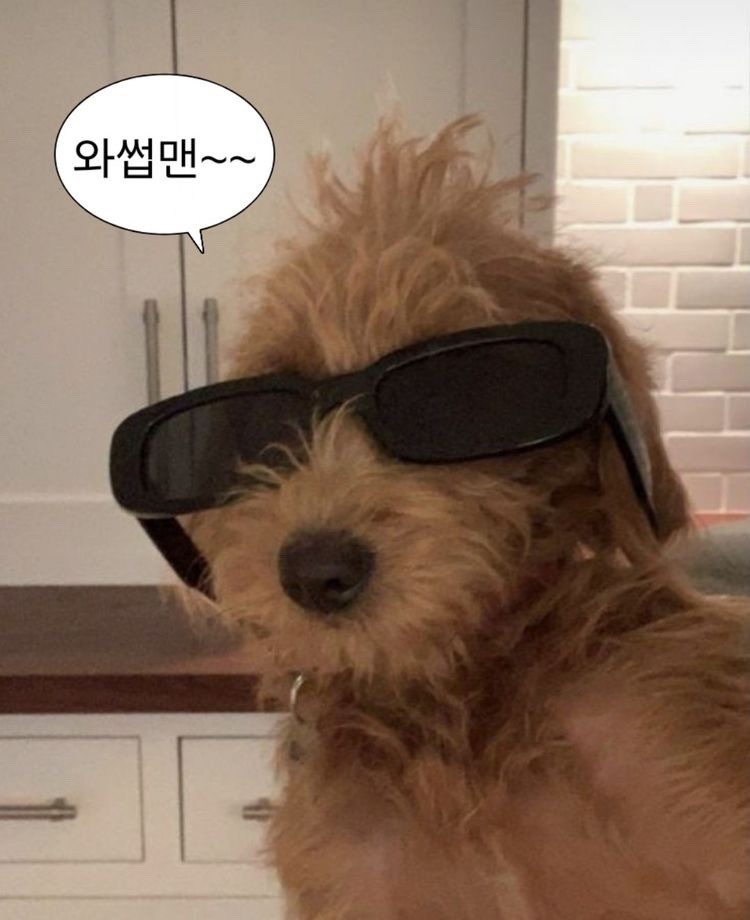 리초이헤어 이미지