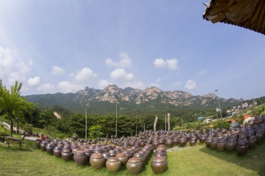참발효 이미지