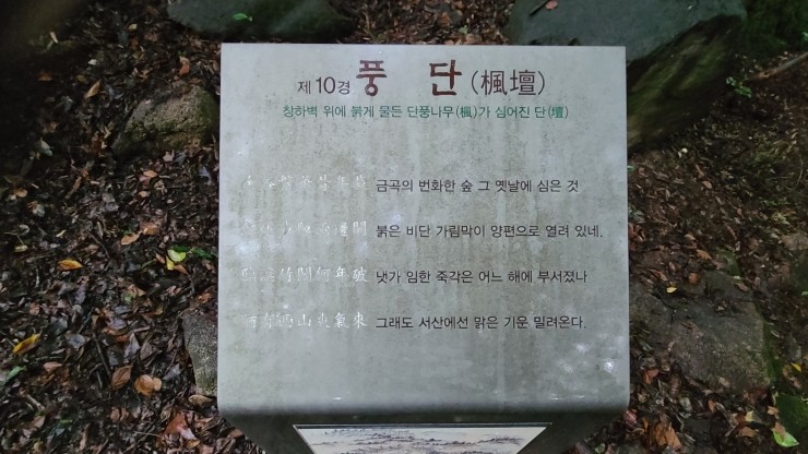 라보장 이미지
