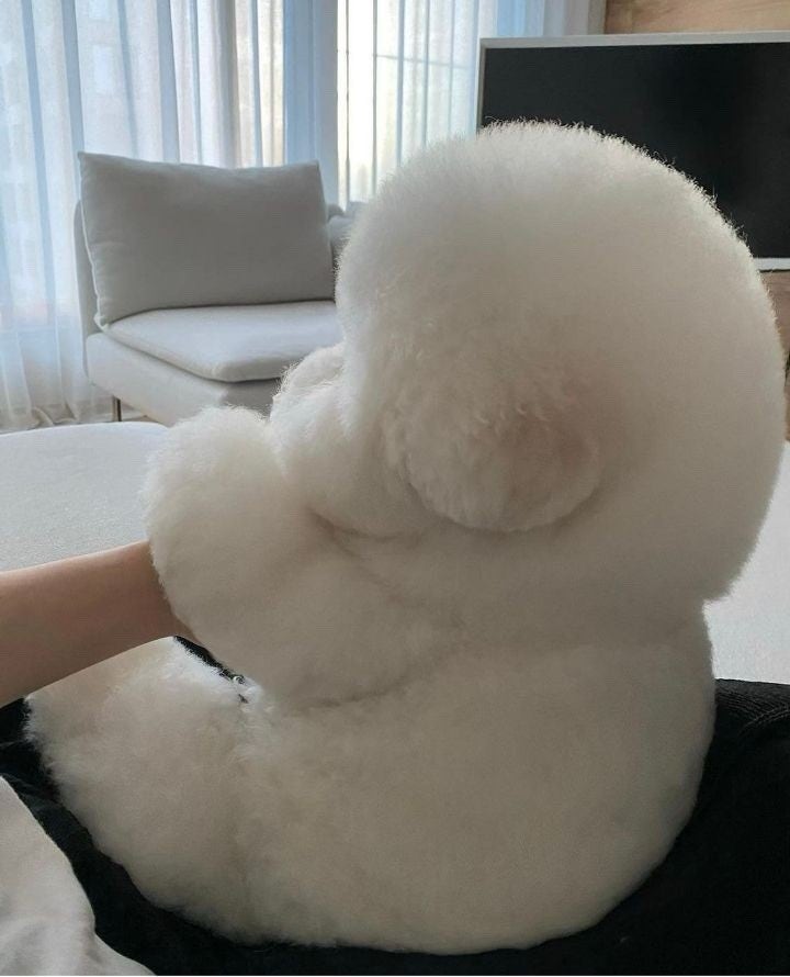 살랑살랑 이미지