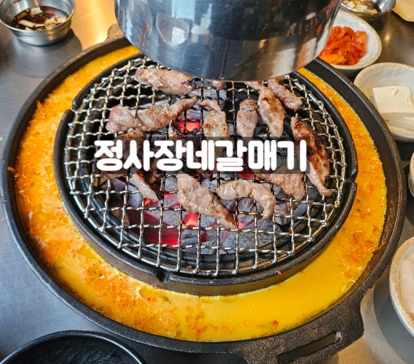 정사장네갈매기 이미지