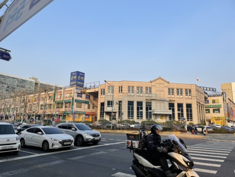 포시애틀은마 이미지