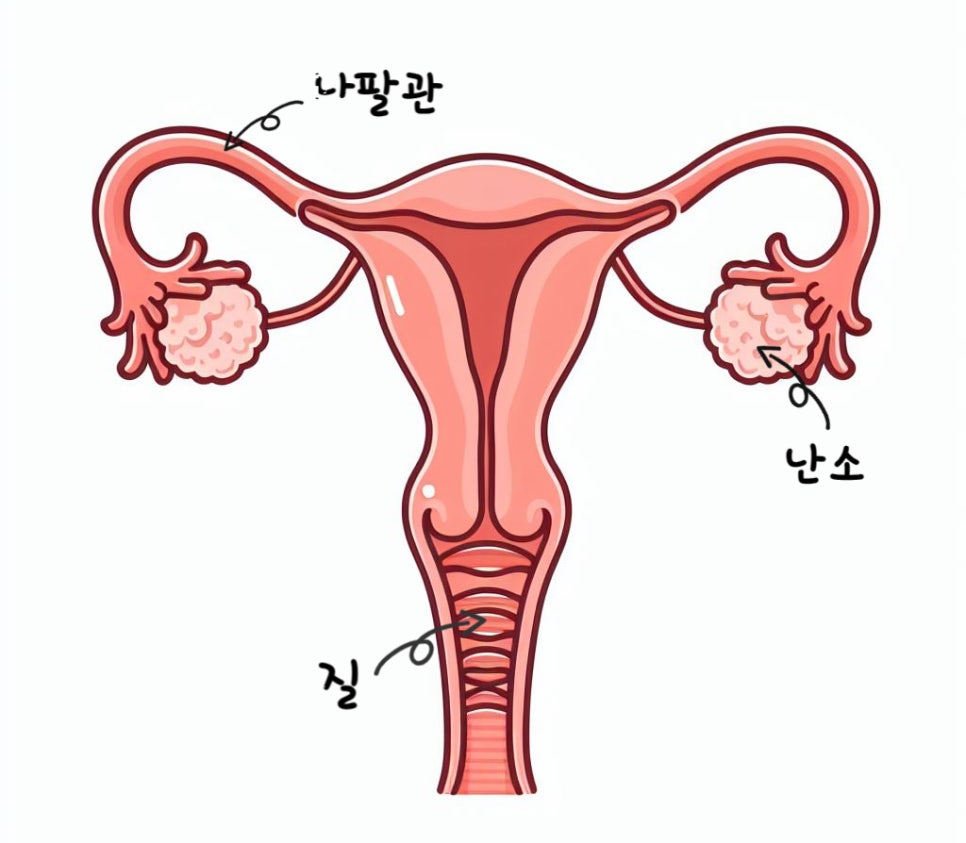 미래연여성의원 이미지