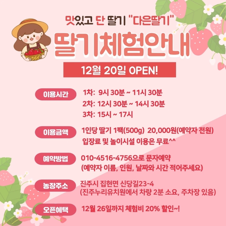 다은딸기 이미지