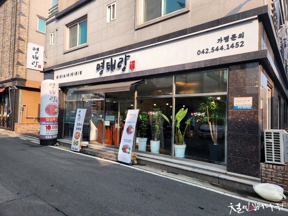 명태랑류명호 이미지