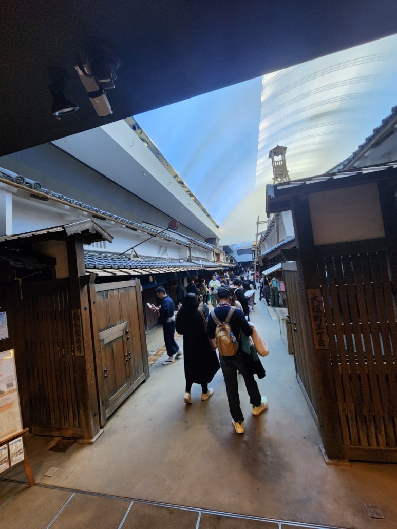 돈보리 이미지