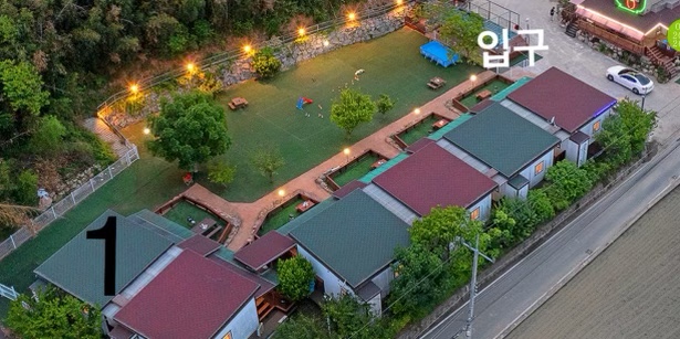 웰컴독 이미지