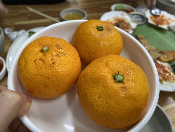 죽도해삼 이미지