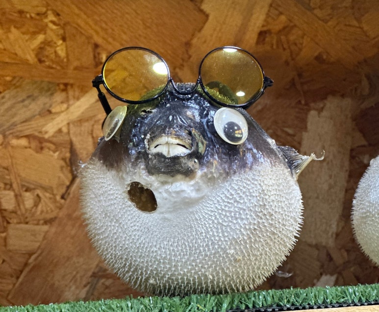 문산복집 이미지