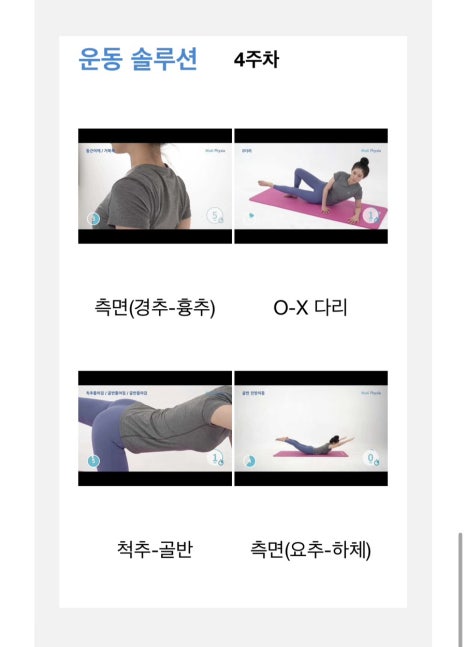 내포체형관리 이미지