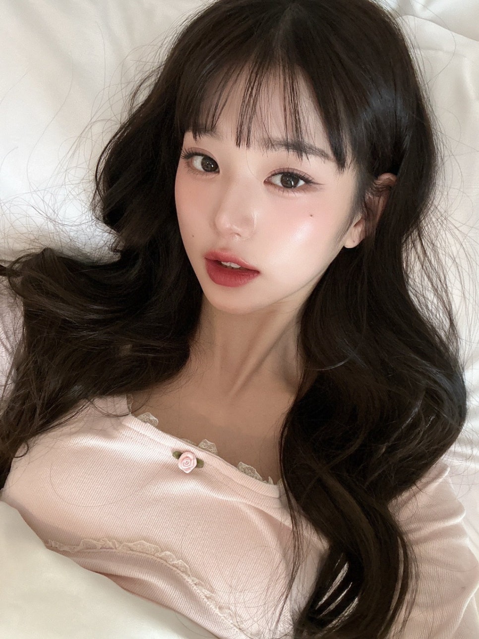 프리모르 이미지
