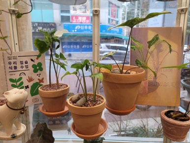 읽다;익다 이미지