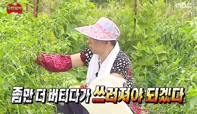 바이오포톤테라피 이미지