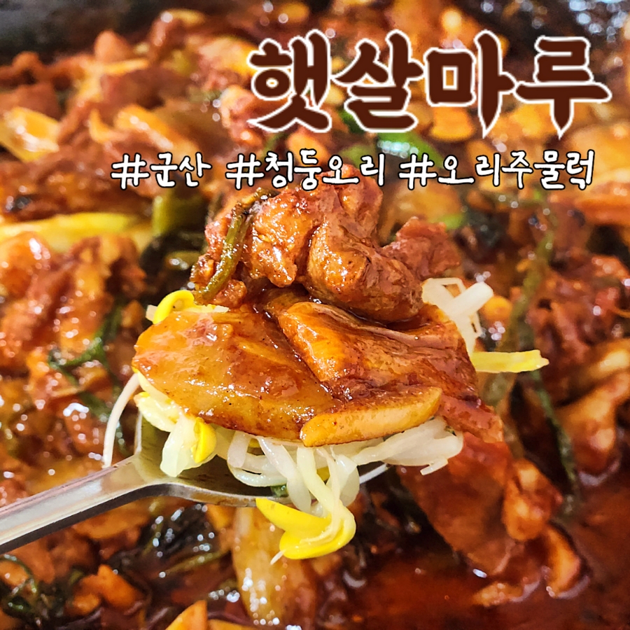 햇살마루청둥오리 이미지