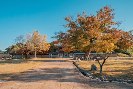 서산클럽아일랜드 이미지