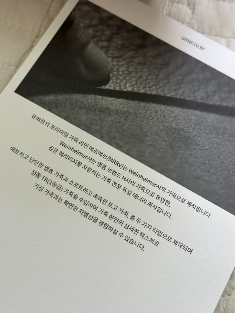 미니레브 이미지