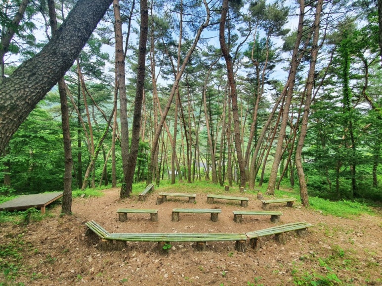 전북권환경성질환치유센터진안고원치유숲 이미지
