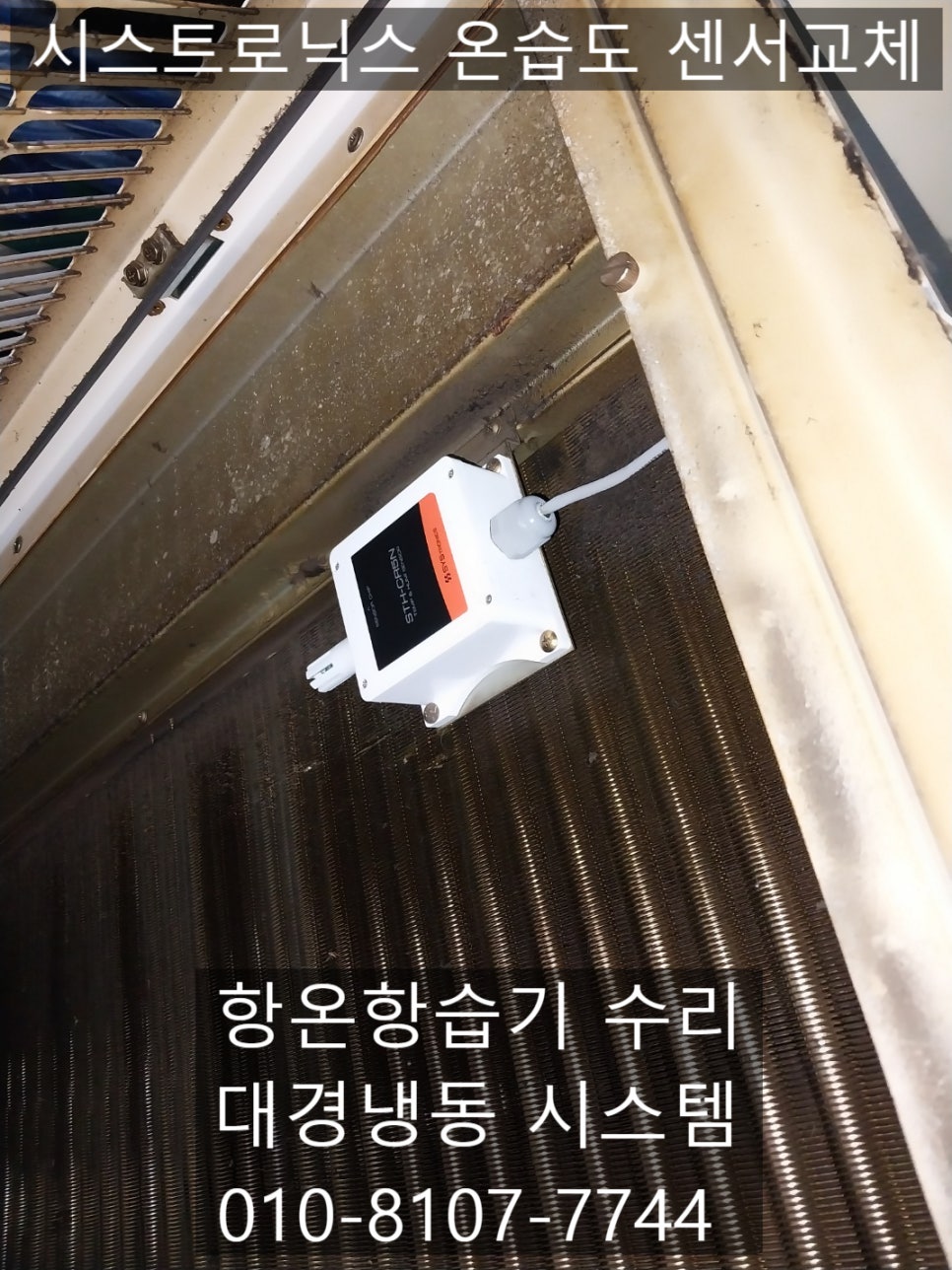 대경냉동 이미지