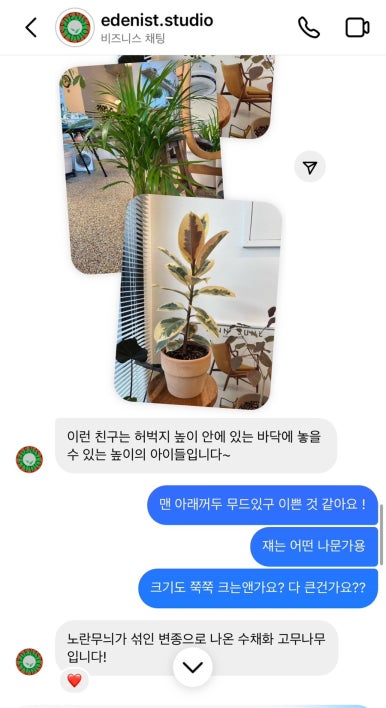 에데니스트스튜디오 이미지