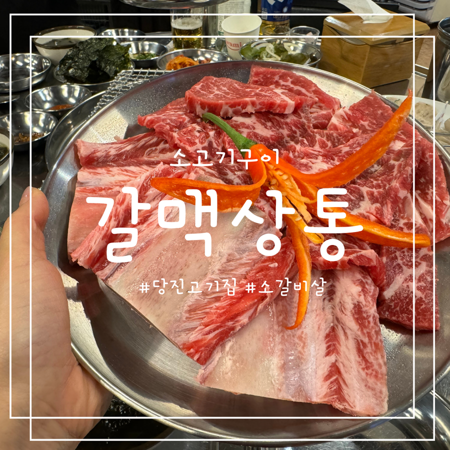 갈맥상통 이미지