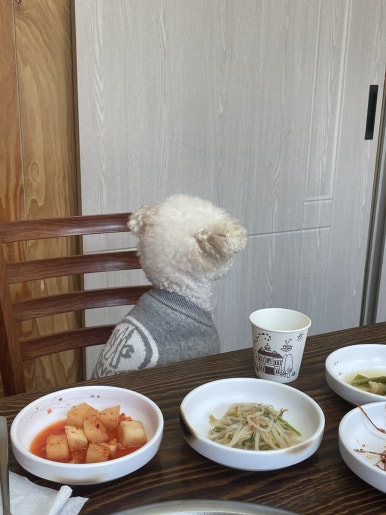 조지골흑염소기러기 이미지