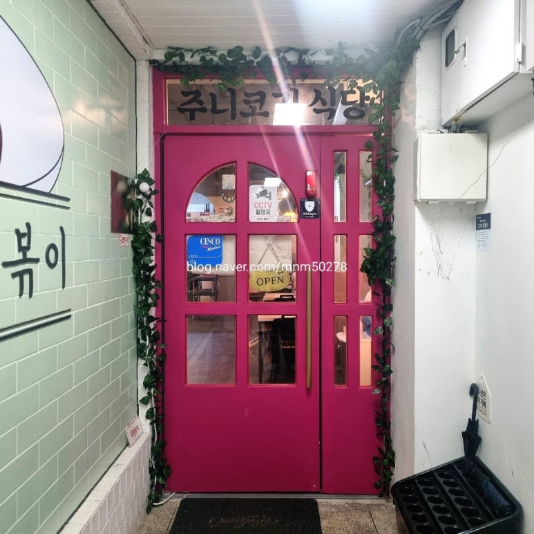 주니코기 이미지