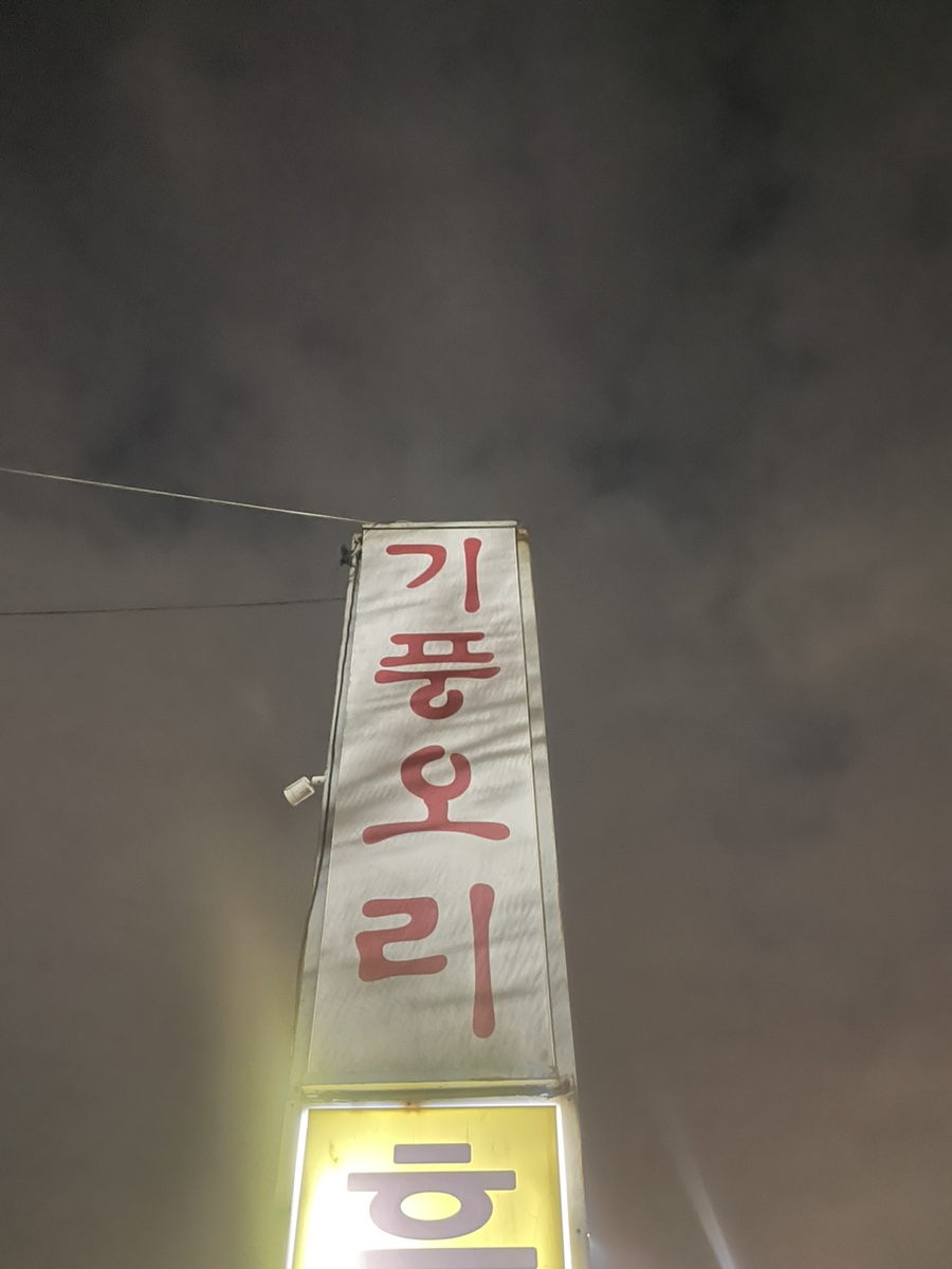 기풍오리 이미지