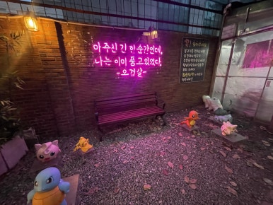 뻥쟁이네 이미지