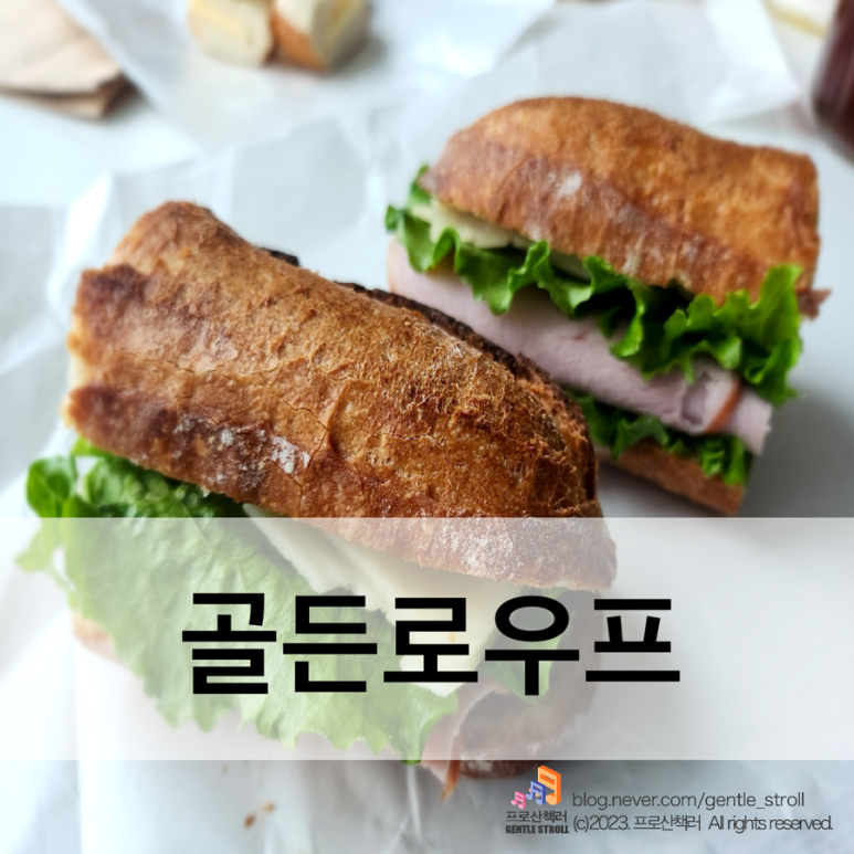 골든로우프 이미지