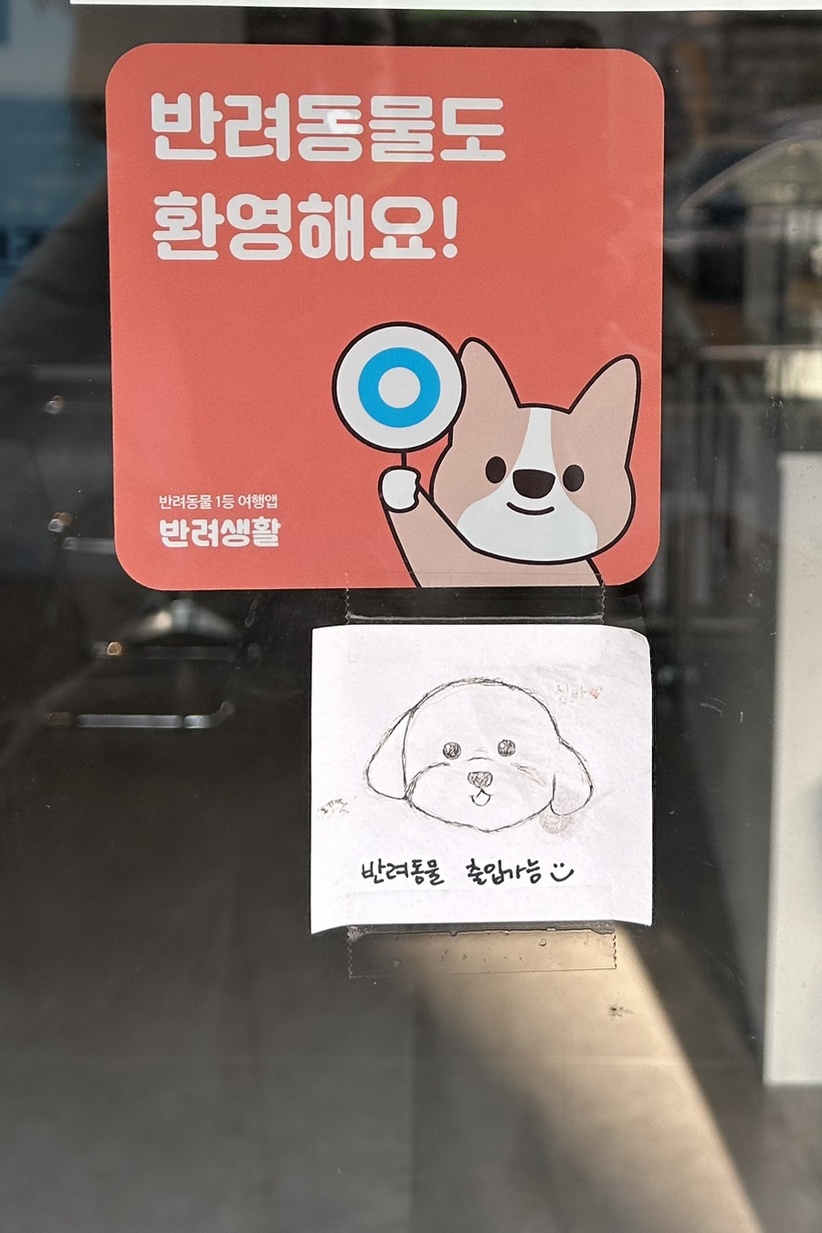 서울대입구 애견동반 카페: 바삭한 파니니와 함께하는 휴식 — 사진 4