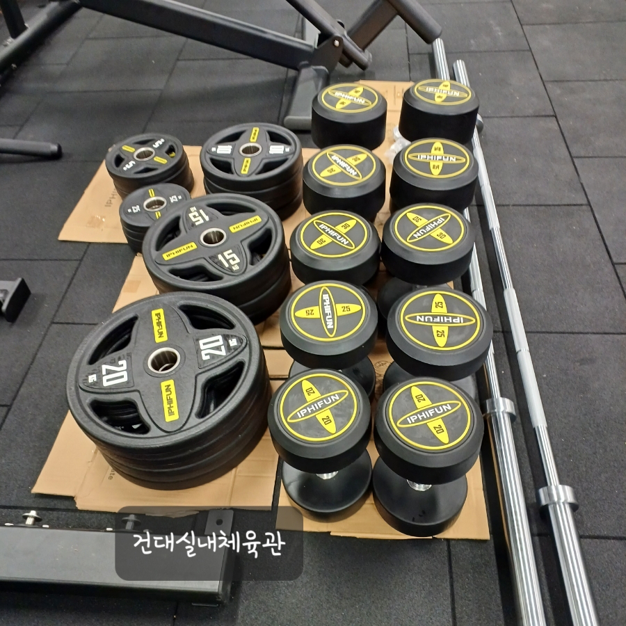 보딕스포메디 이미지