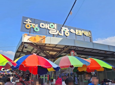 돌봄여행사 이미지