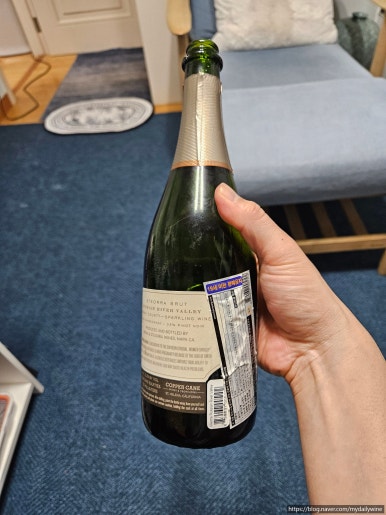 스테오라 이미지