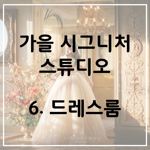 풍성란 이미지