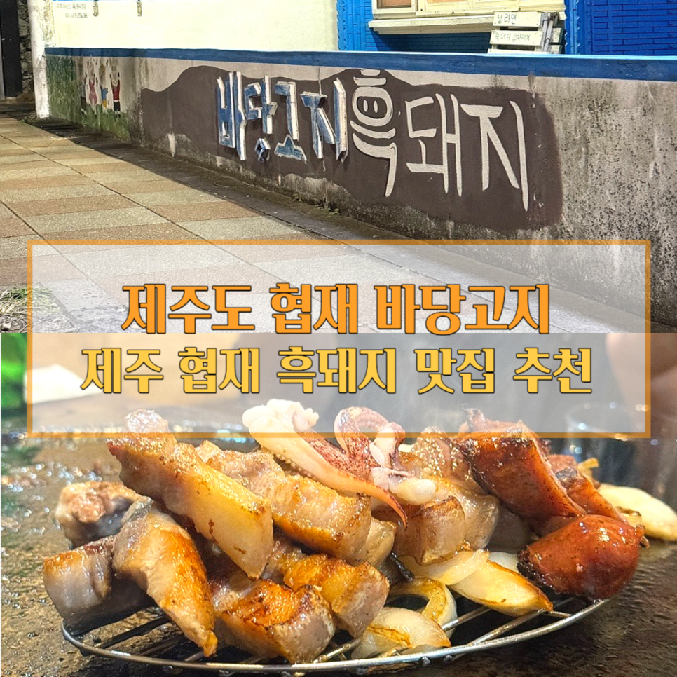 바당고지 이미지
