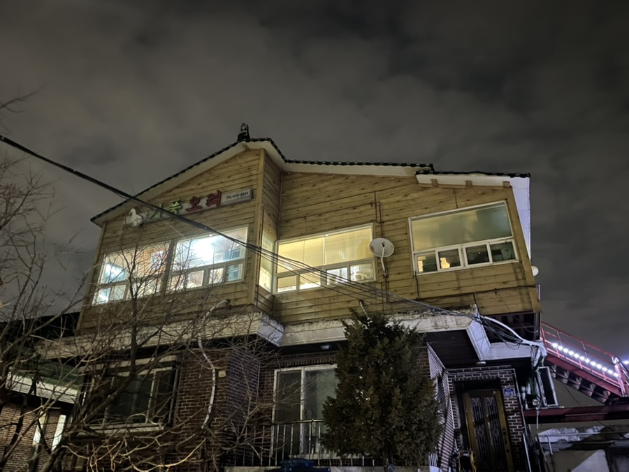 기풍오리 이미지
