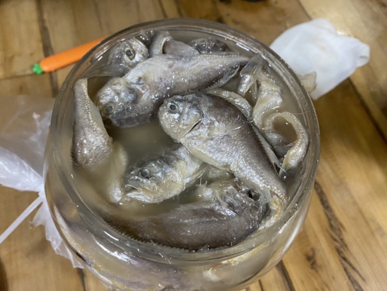 지도(젓갈)수산 이미지